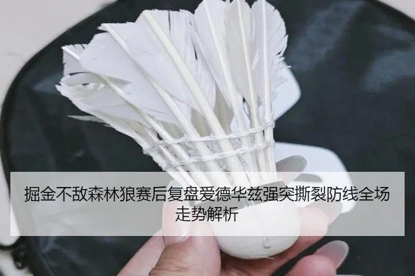 掘金不敌森林狼赛后复盘爱德华兹强突撕裂防线全场走势解析